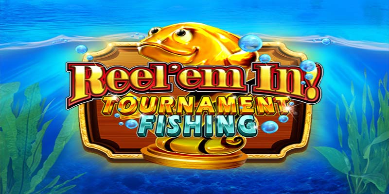 Dive Into the Thrill of Reel Em In Tournament Fishing!